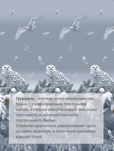 Комплект постельного белья Семейный, перкаль (Совушка)
